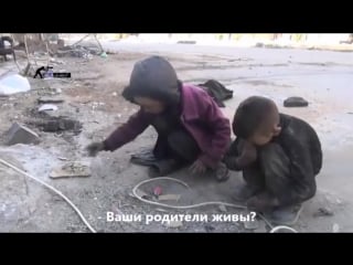 Сирия голодные молодые собирают крошки хлеба
