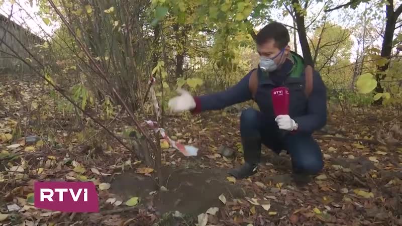 Что нашел гринпис на стройке юго восточной хорды