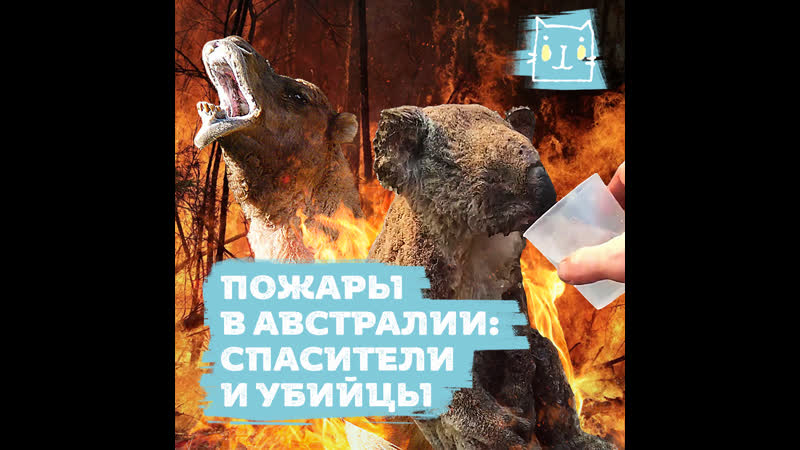 Молодые секс в австралии