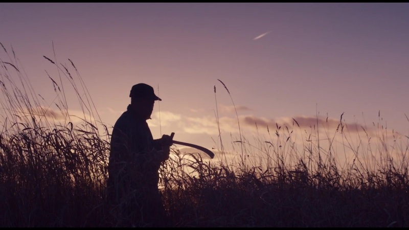 Maudie trailer #1 (2017) ¦ liberi kiev
