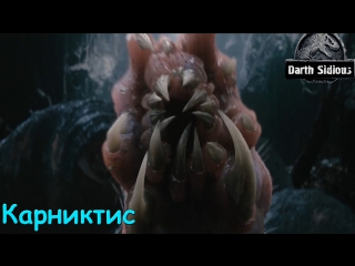 "жизнь острова черепа" (the life of skull island) карниктис (carnictis sordicus)