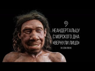 Dutch neanderthal now has a face