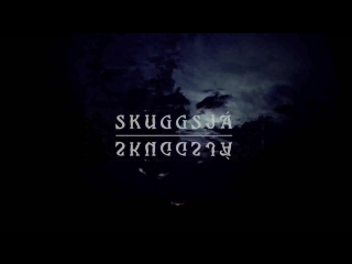 Skuggsjá skuggsjá [a piece for mind mirror 2016]