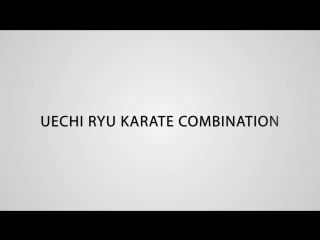 Uechi ryu karate combination 2
