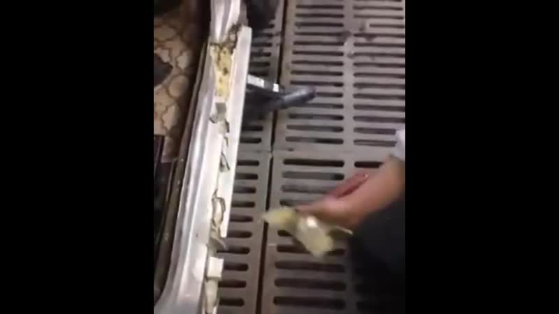 Машина из пены и шпаклеи