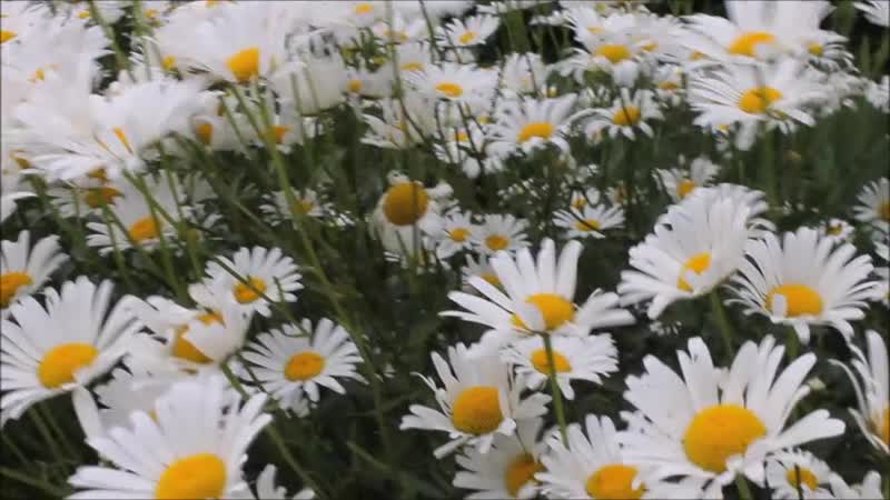 Ксюша и виталина 10 07 19