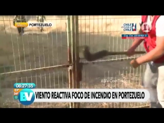 Спс, братан (vhs video)