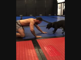 Брэндон гирц тренируется со своим псом