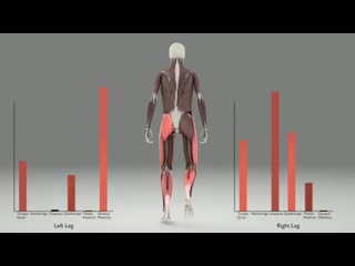 3d анимация показывает сложное взаимодействие мышц ног вовремя ходьбы