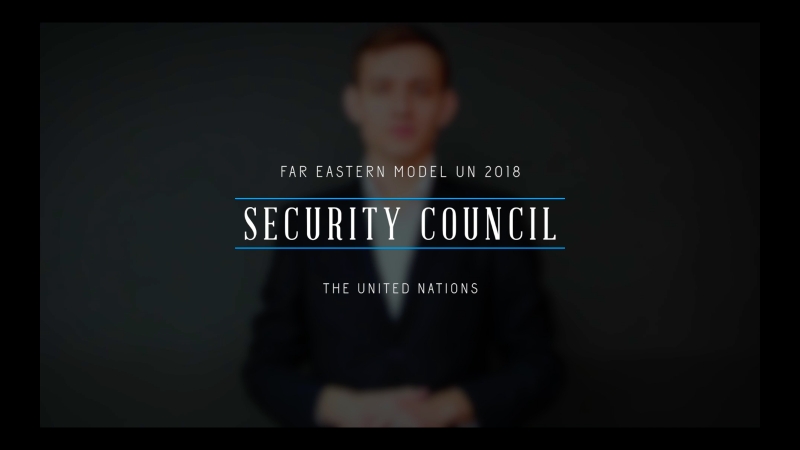 [femun 2018] sc director's statement