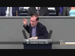 Dr gottfried curio afd merkel gehört nicht länger zu deutschland