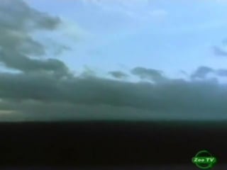 Тайны природы на волю из икринки