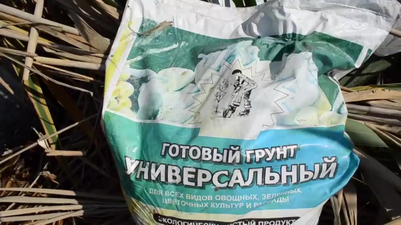 Плантация конопли в крыму оперативное видео