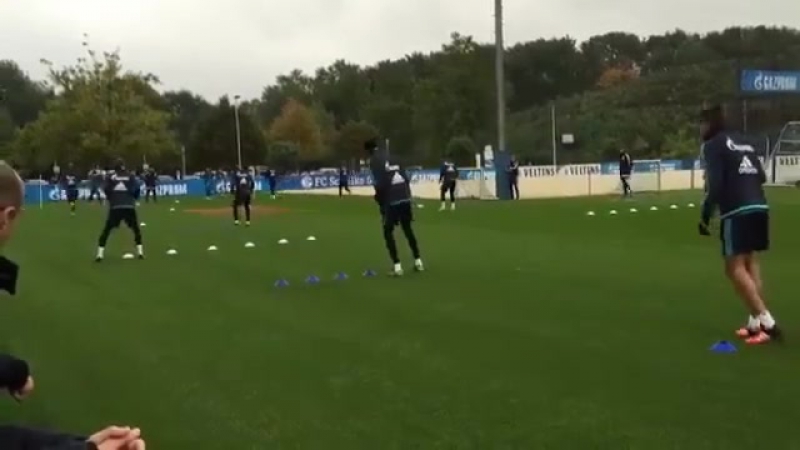 Тренироа шальке