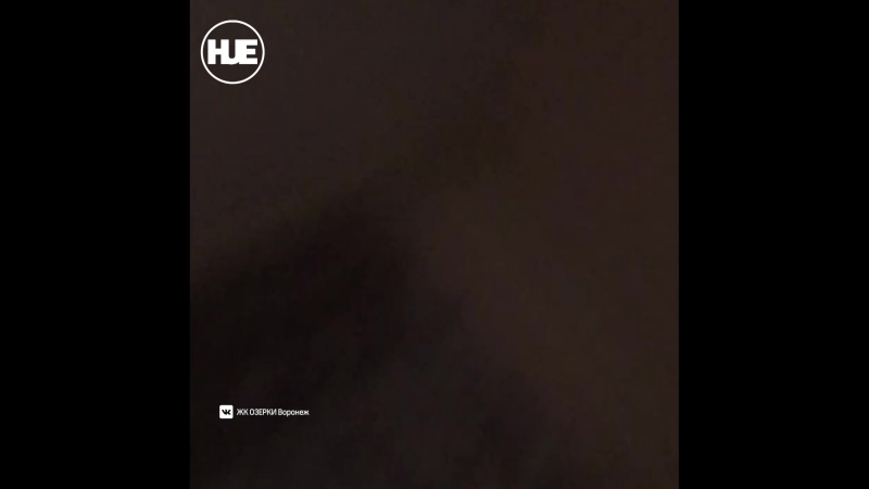 В воронеже женщина вступила в неравный бой с летучей мышью