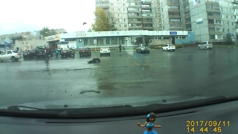 Мелкие пиздюки