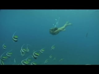 Sirens of the sea naked underwater diving naturist compilation