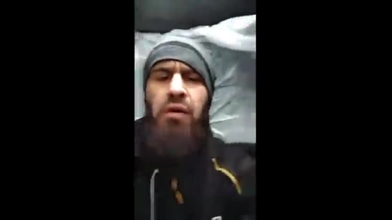 Короче, перевернулся я на бок, вот он лес оригинал