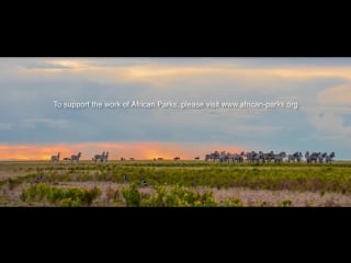 African parks a business approach to conservation