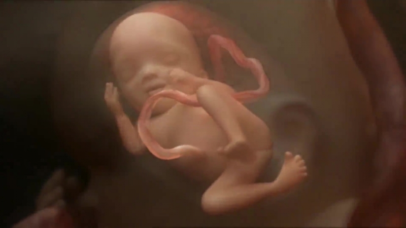 9 месяцев беременности за 10 минут 3d потрясающее видео