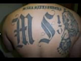 Ms13