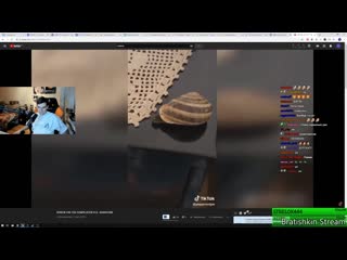 [bratishkin stream] братишкин смотрит кринж тик ток compilation #14 армянчик