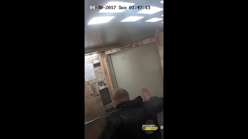 Обезьяны porn video – Обезьяны обыкновенные