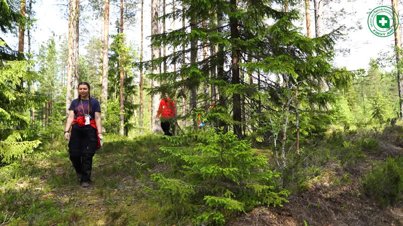 Летний тренировочный день 2021