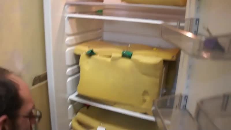 Тушканчики впали в спячку