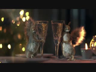 Белки первого канала и olisha праздники проказники 720 mp4