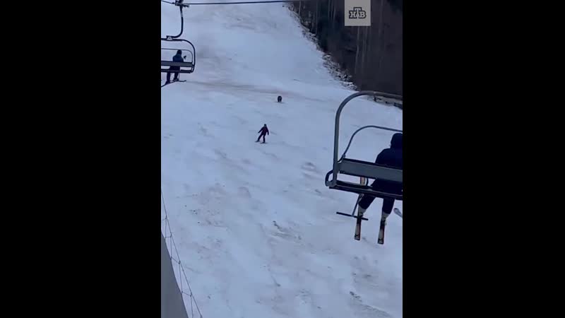 В румынии медведь явился на горнолыжный курорт, чтобы полакомиться спортивными людишками и погнался за лыжником