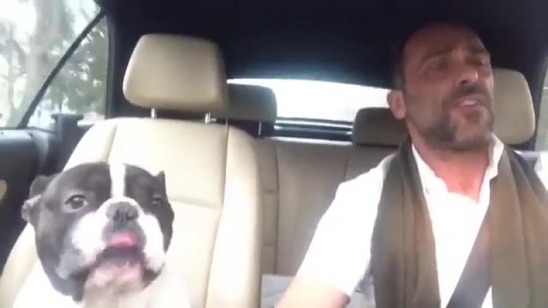 Молодые душевно подпевает