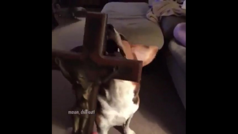 Во имя христа, изыди вон!