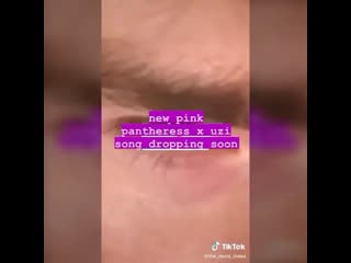Lil uzi vert x pinkpantheress snippet