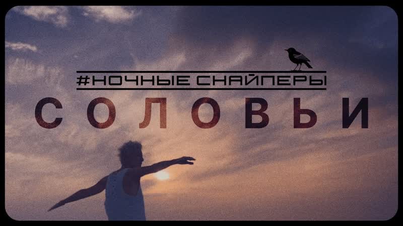 Ночные снайперы соловьи