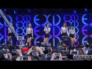 [fancam] exid (full version) @ 151223 myeongdong flashmob