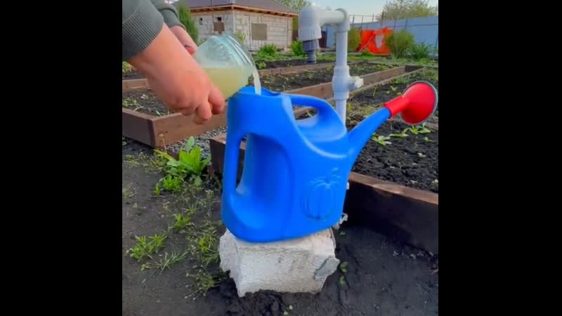 Moya uyutnaya i lyubimaya dacha (1)