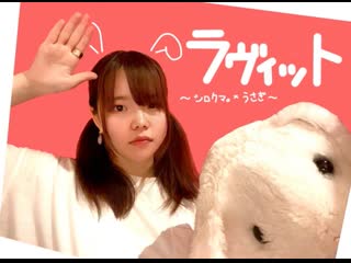 ~【シロクマ。×うさぎ】ラヴィット踊ってみた。 niconico video sm40473399