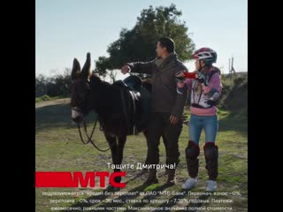 Mts donkey