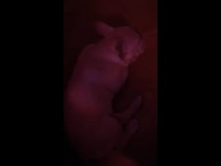 170620 инстаграм (story) @ rravii0215