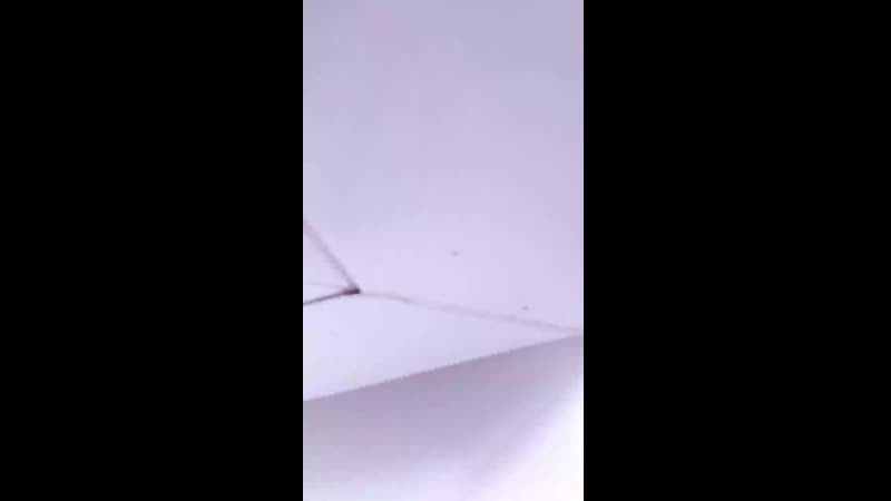 Русские махи 60кг 28 повторенийvid 20201223 130746 mp4