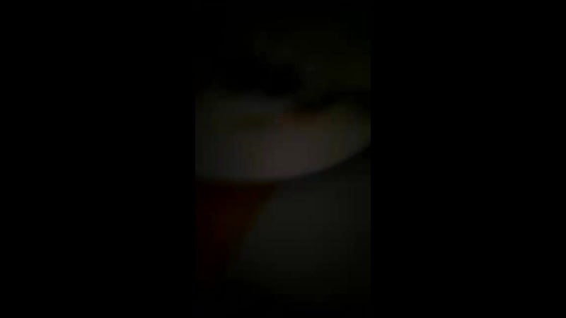 Арыстан омар жүрек алдамайды