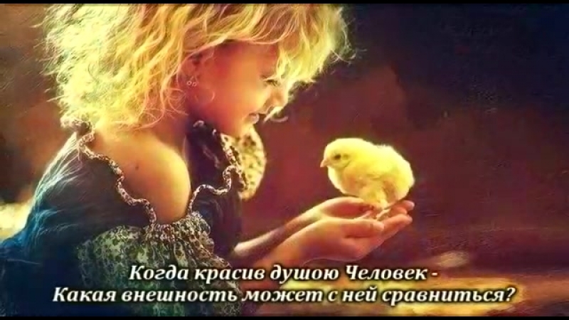 Омар porn video – Афоризмы омар хайам