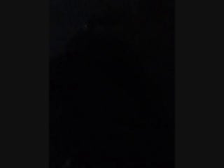 Live два брата проказники и дочка настя