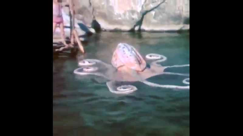 Tarkan versus the vikings is a 1971 turkish action film| history porn