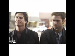 Damon salvatore & alaric saltzman