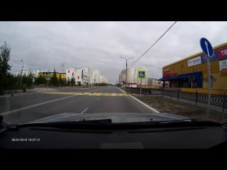 Голуби переходят дорогу, эти птицы ахуели (pzd)