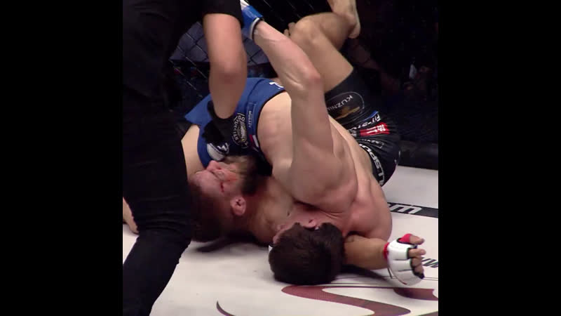 Шамиль мусаев крайний бой в ksw 🇵🇱