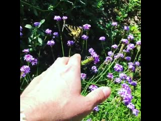 No one respects private property anymore!!!