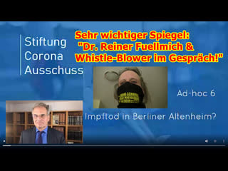 Sehr wichtiger spiegel „dr reiner fuellmich und whistle blower im gespräch!“